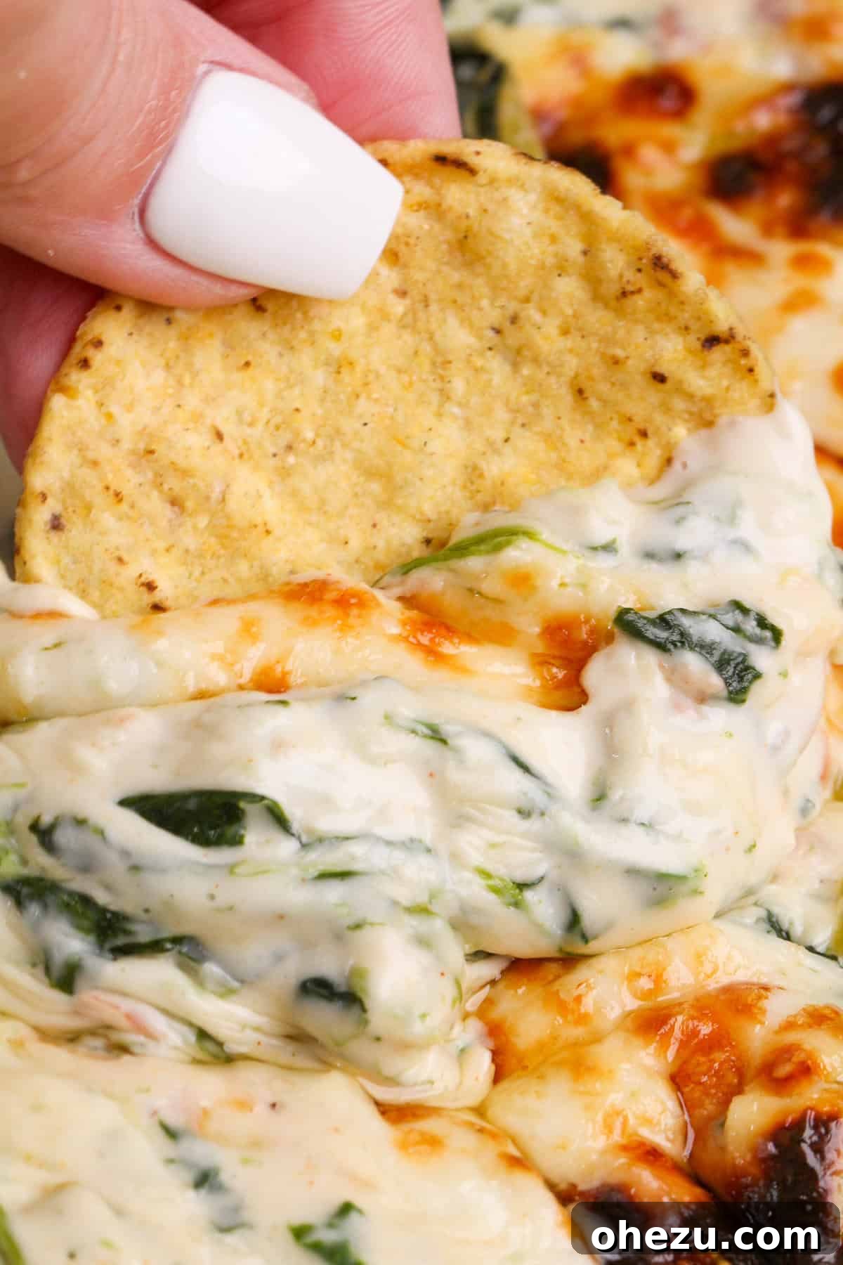 Warm and bubbly Queso Spinach Dip in a cast iron skillet, ready to be served
