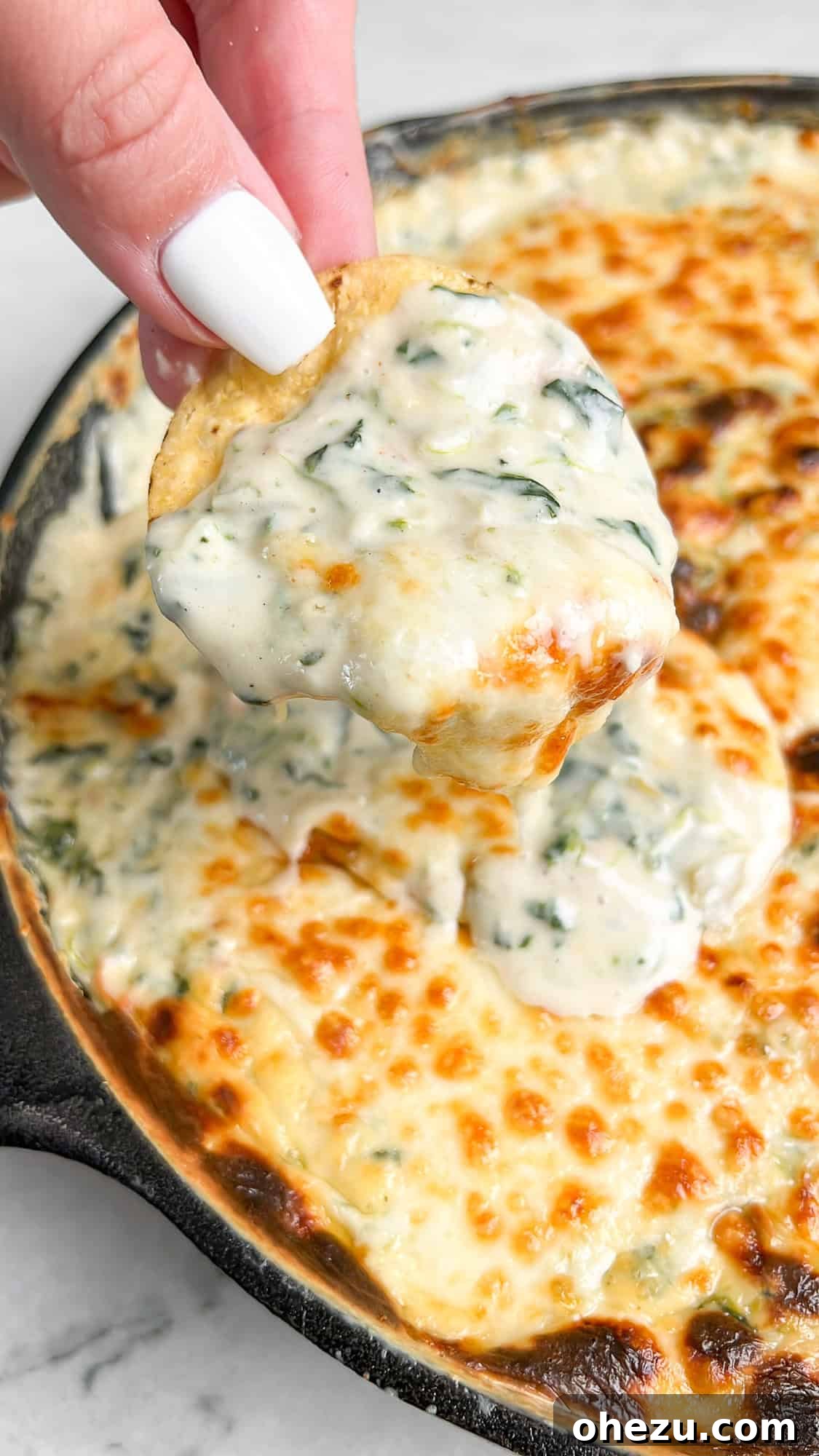 Adding shredded cheese as the final layer on Queso Spinach Dip before baking