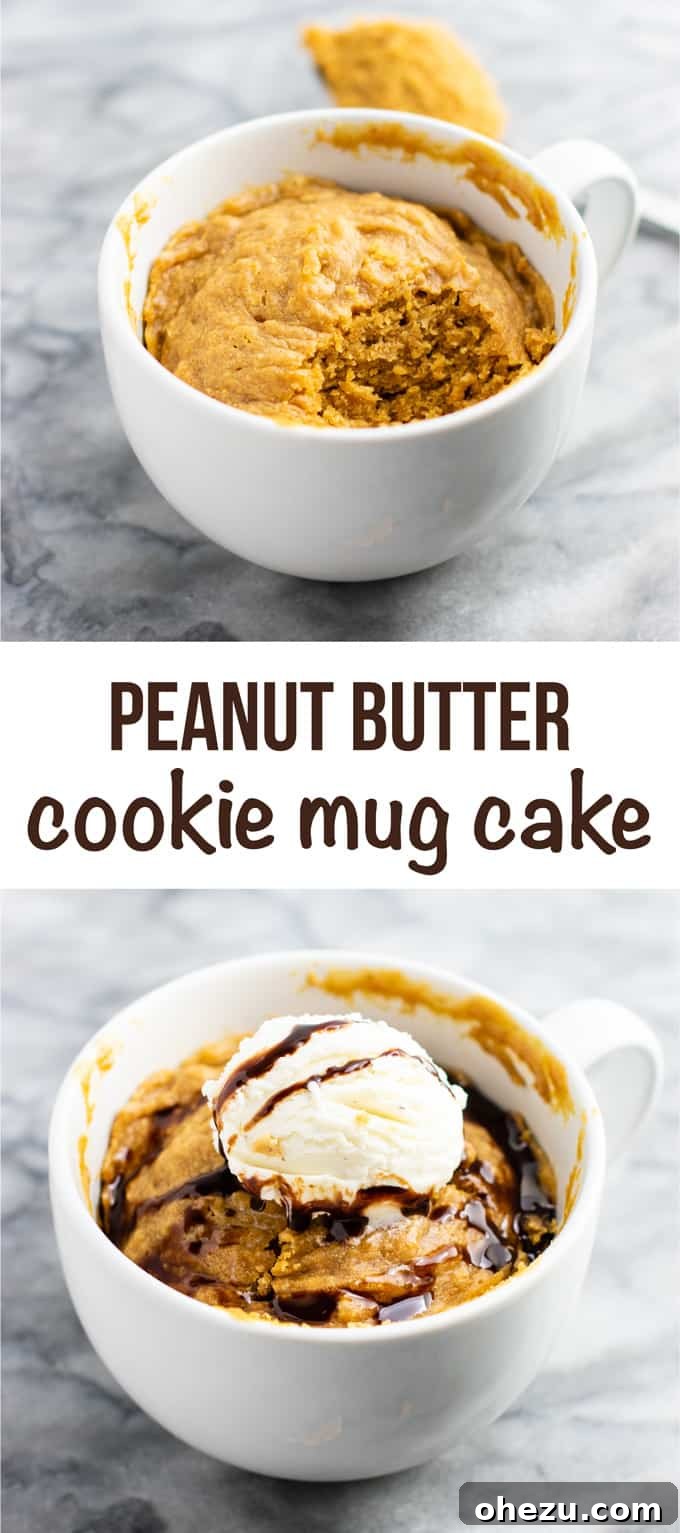 A visually appealing final shot of the peanut butter cookie in a mug, garnished with toppings, serving as an irresistible call to action for this gluten-free, dairy-free, and refined sugar-free dessert recipe.