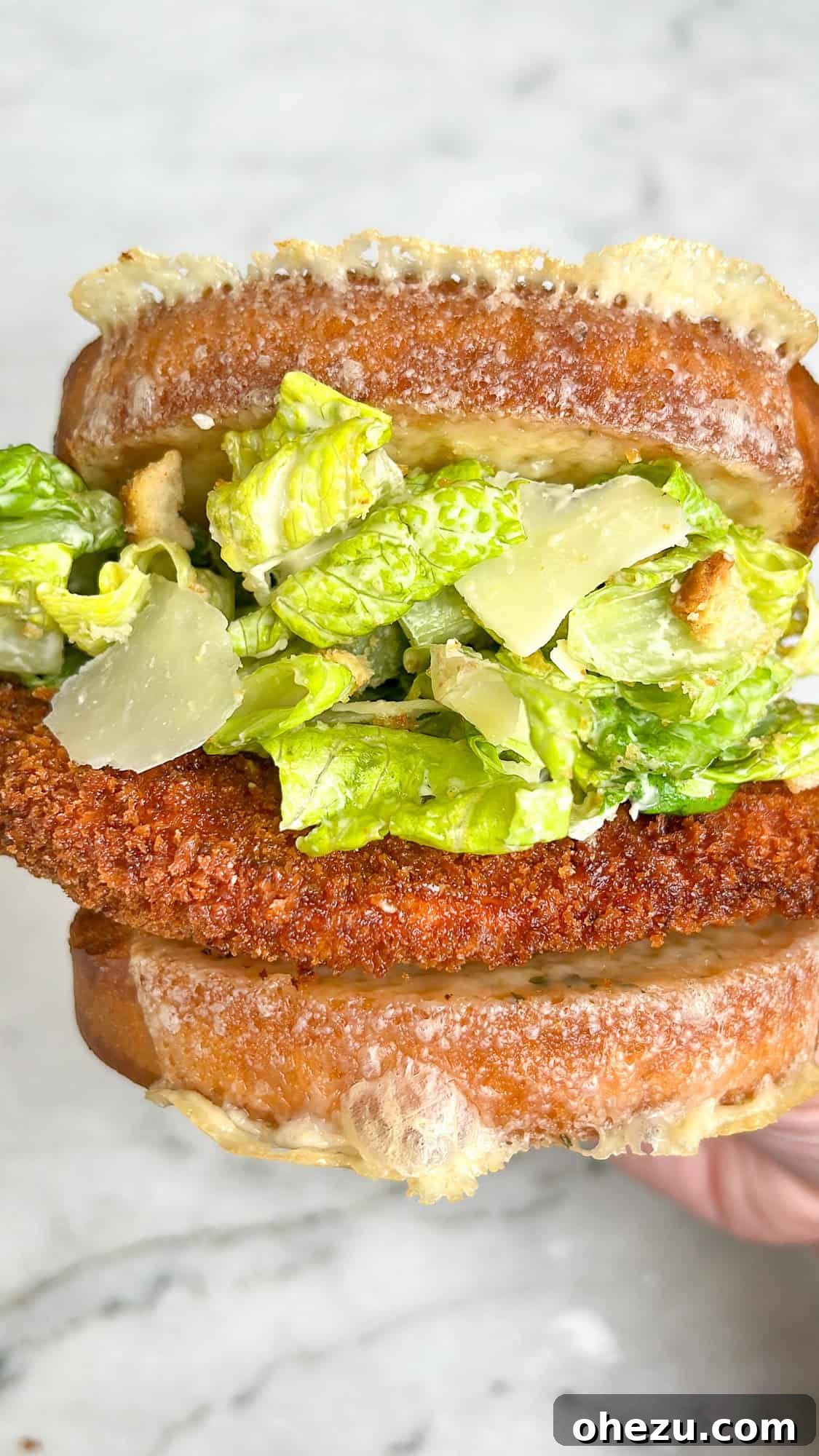 Chicken Caesar Salad Sandwich close-up with fresh ingredients