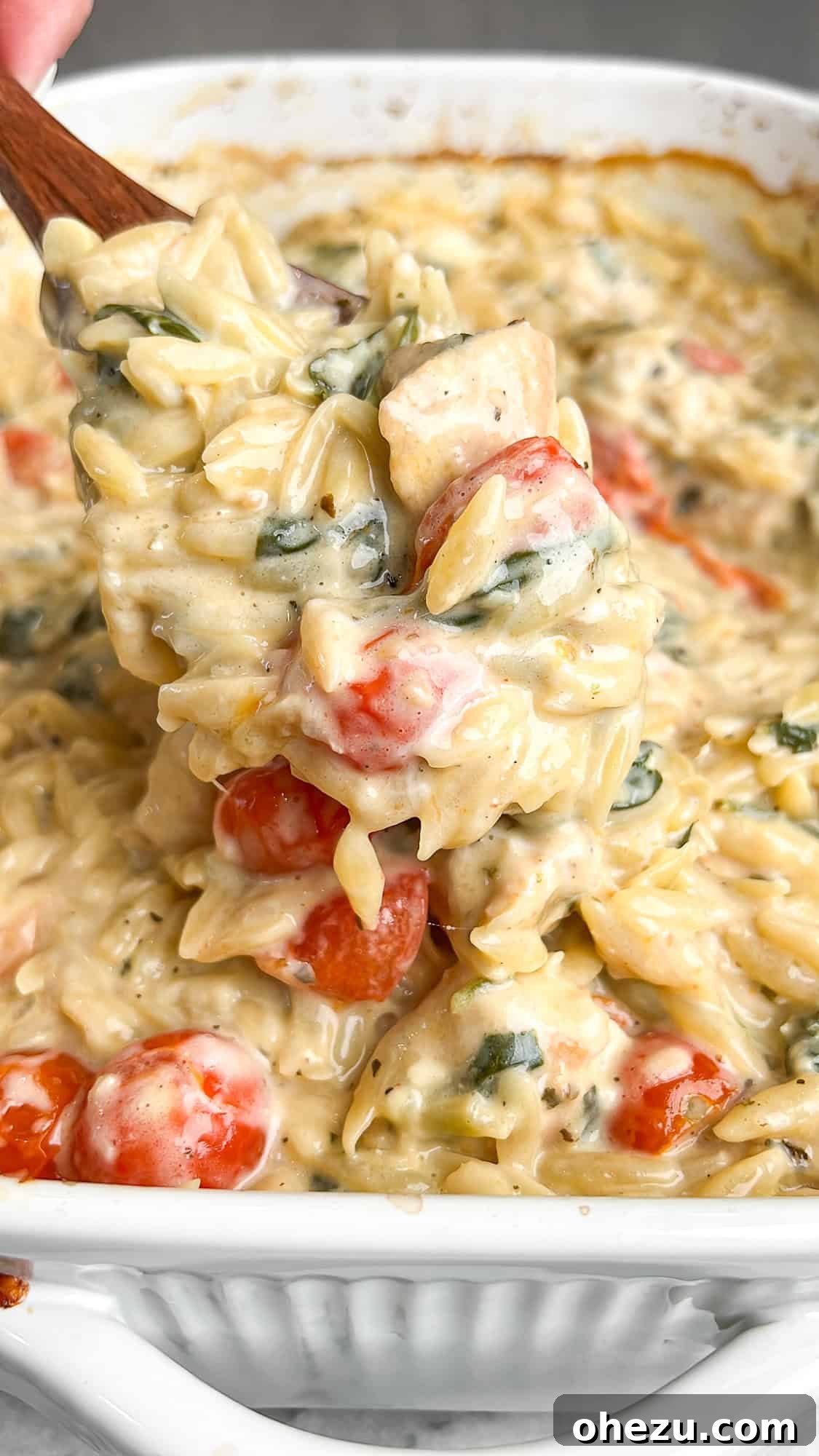 Creamy Tuscan Chicken Orzo Skillet 2 Delicious One-Pan Tuscan Chicken Bake with Orzo and Cherry Tomatoes