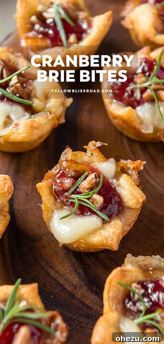 Cranberry Brie Bites with crescent dough