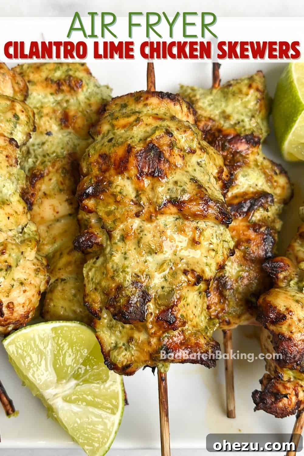 Zesty Cilantro Lime Air Fryer Chicken Skewers 13 Close-up of a single cilantro lime air fryer chicken skewer, showing its tender texture and fresh herbs.