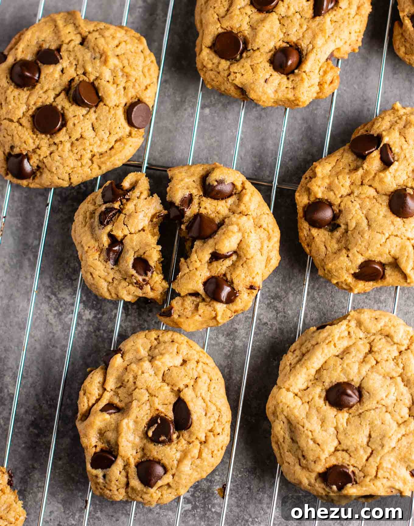 25 Must-Try Vegan Recipes for Plant-Based Perfection 5 Warm, freshly baked vegan chocolate chip cookies on a cooling rack, some with melted chocolate visible.