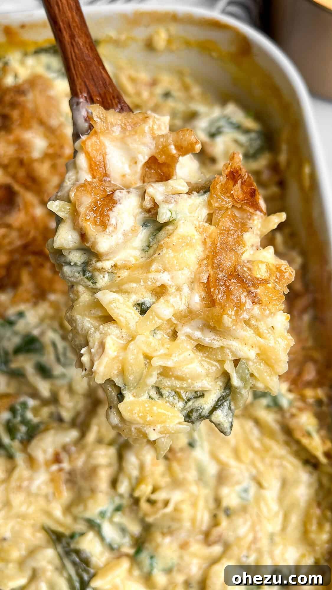 Cheesy Monterey Chicken Orzo Skillet 5 Close-up of Monterey Chicken Orzo on a serving spoon, showcasing its creamy texture and bits of chicken