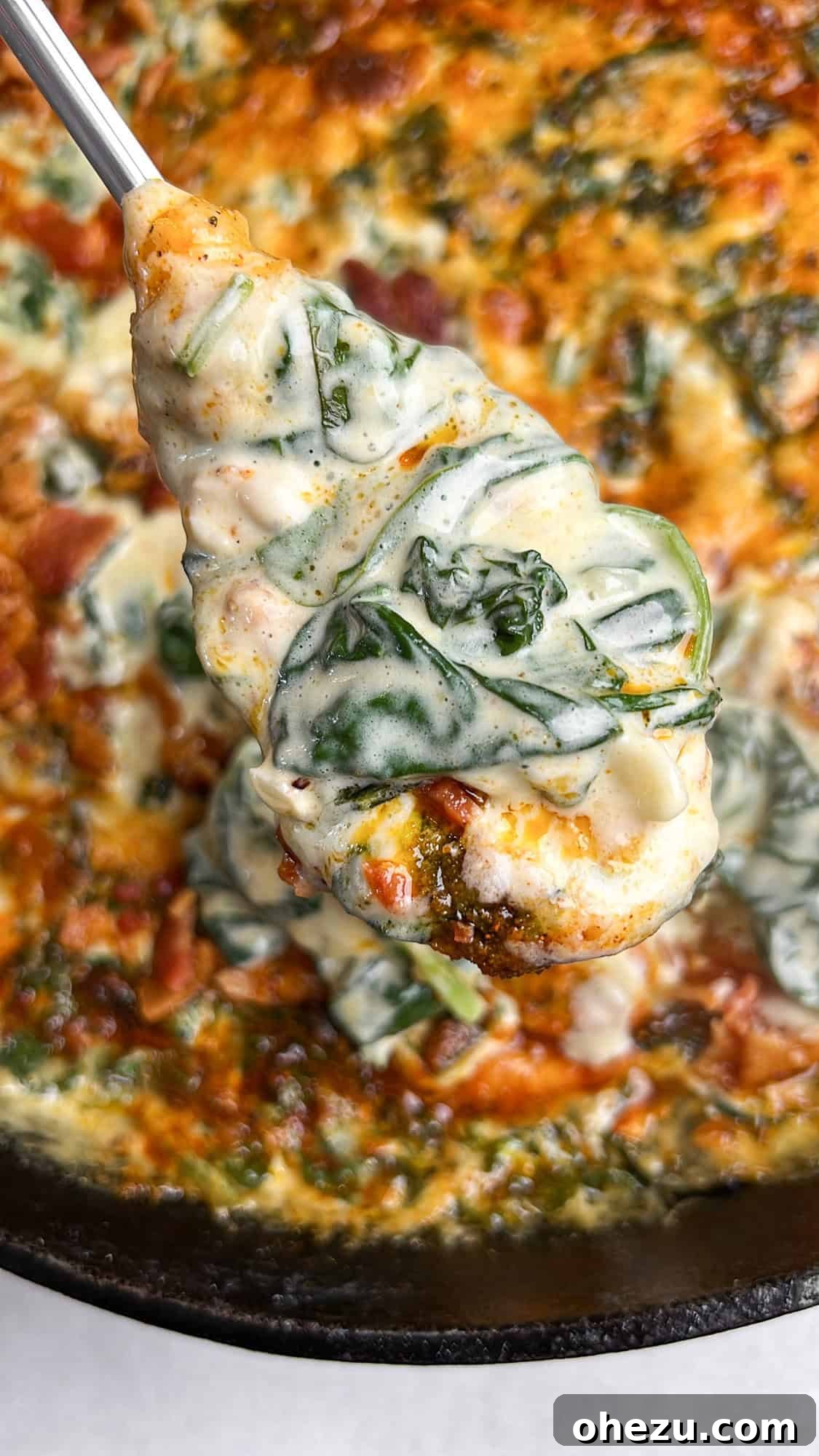 Holiday side dish creamed spinach with bacon