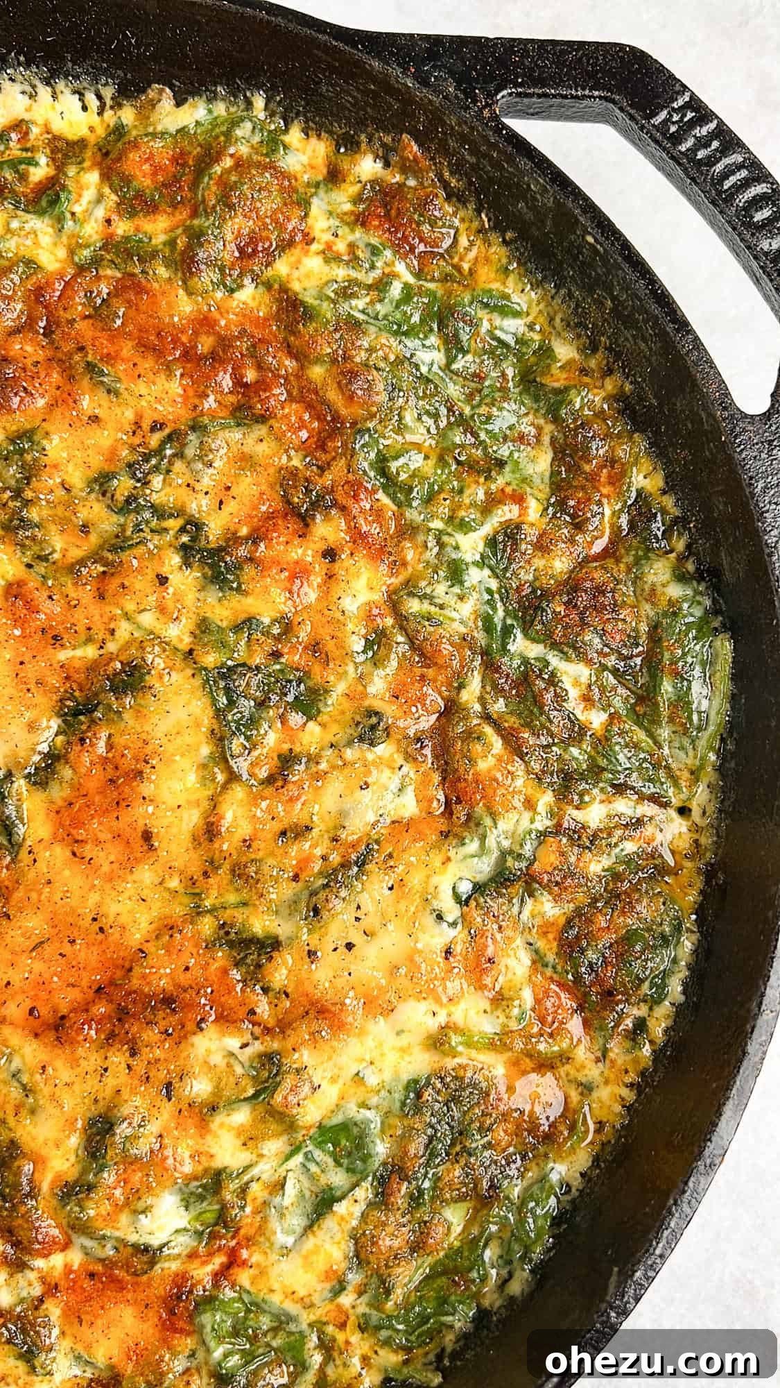 creamed spinach with golden cheesy topping