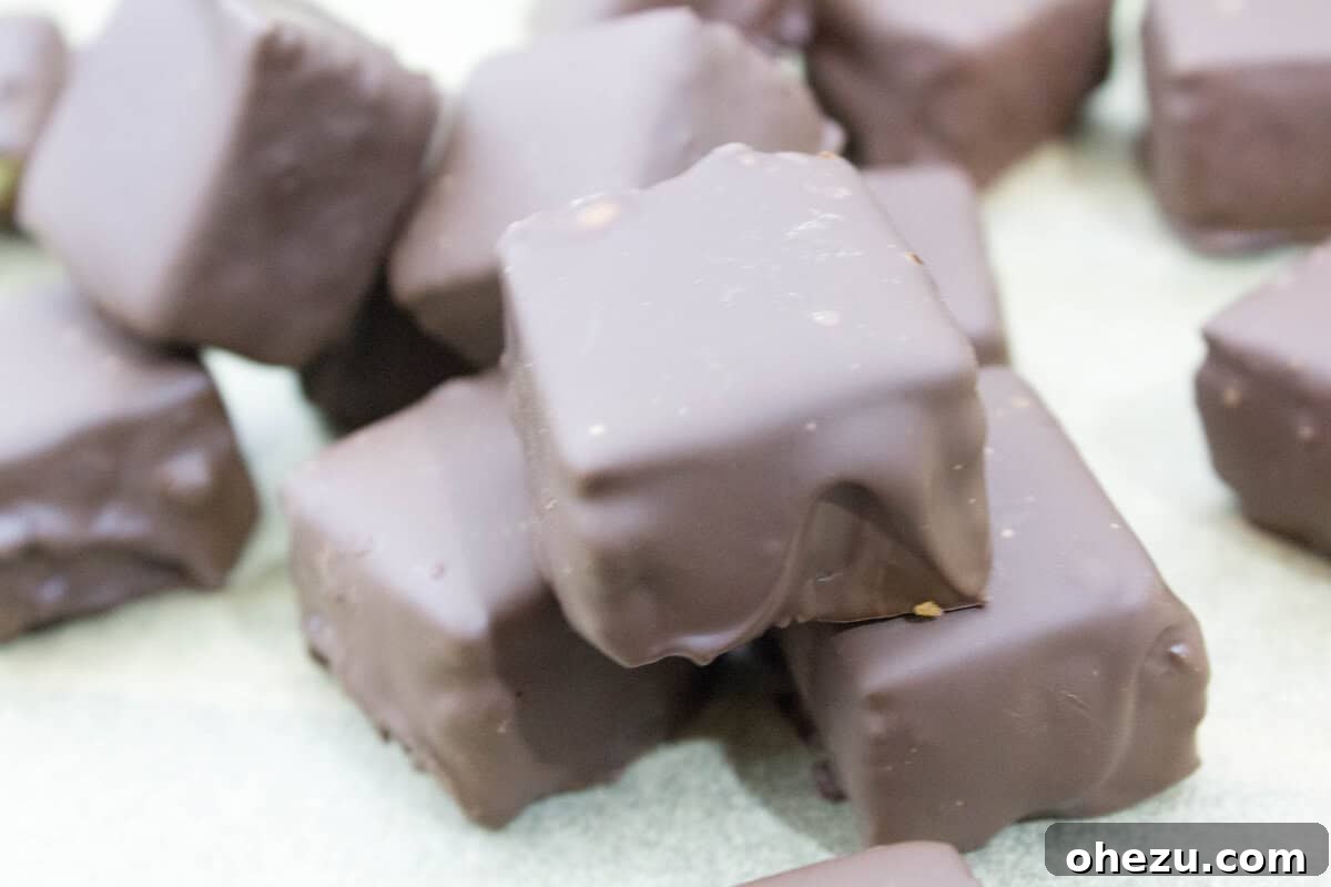 An assortment of gourmet Triple Chocolate Dipped Cheesecake Bites, some drizzled with delicate white chocolate patterns.