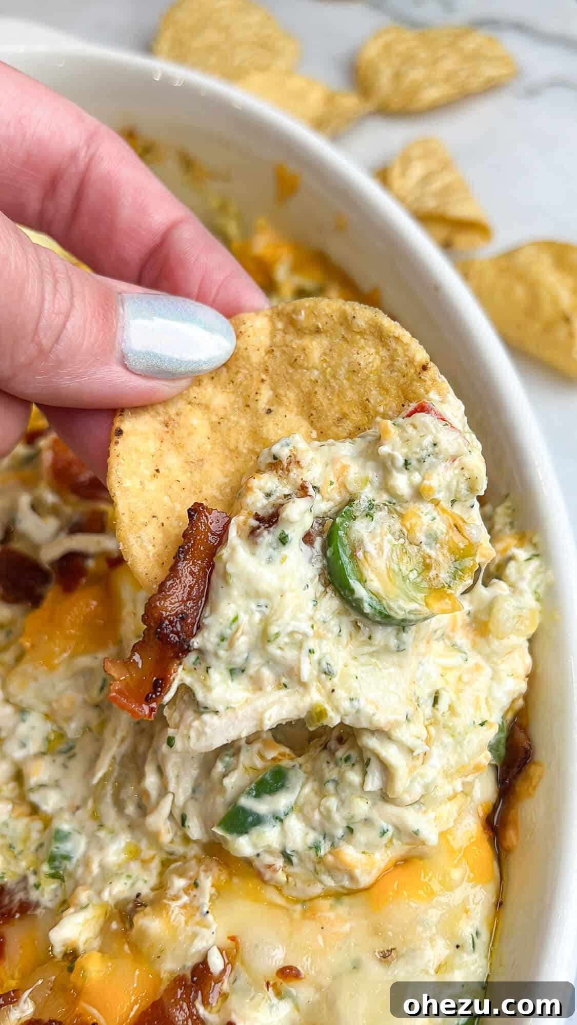 Creamy Baked Tex-Mex Jalapeno Chicken Dip 8 Creamy jalapeno chicken dip, fresh out of the oven, garnished with cilantro