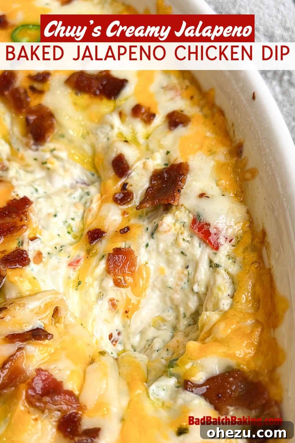 Creamy Baked Tex-Mex Jalapeno Chicken Dip 11 Another view of the baked chicken dip, served with dippers
