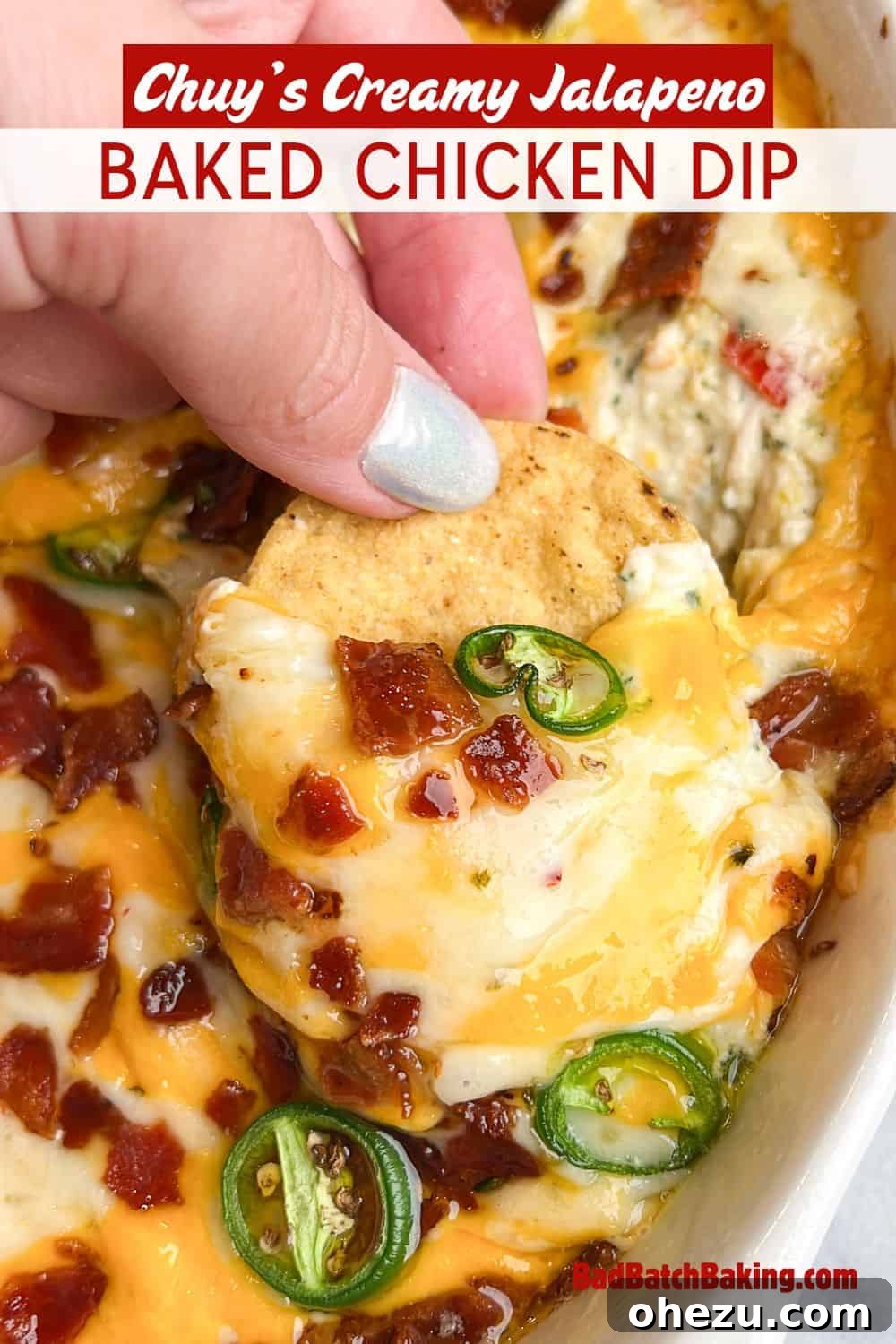Creamy Baked Tex-Mex Jalapeno Chicken Dip 5 Ingredients for baked jalapeno chicken dip, including fresh and pickled peppers, cheese, and chicken