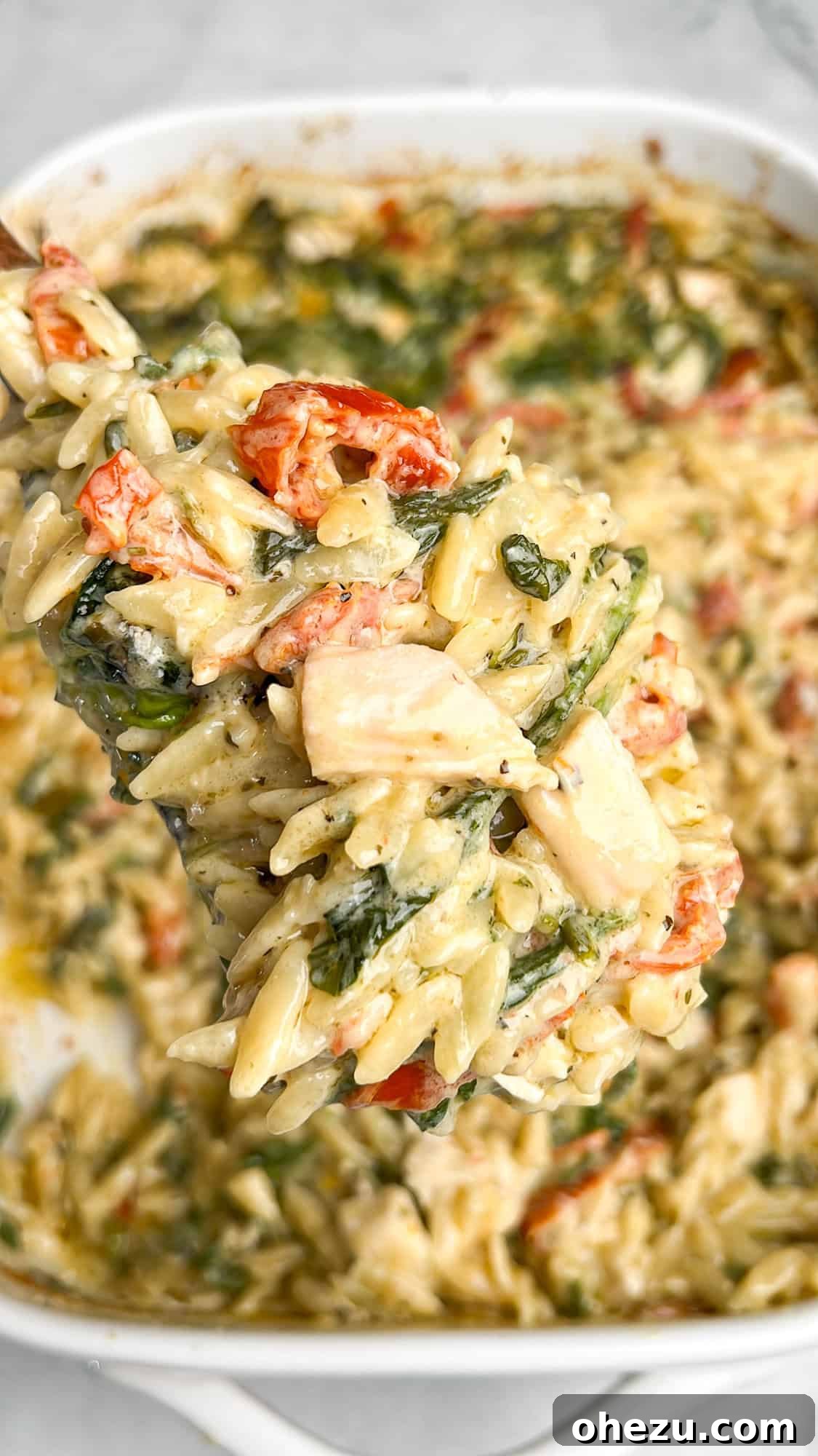 Skillet Chicken Orzo That Wins Hearts 2 A close-up of creamy Marry Me Chicken Orzo on a spoon, featuring tender chicken, green spinach, and bright red sun-dried tomatoes, ready to be enjoyed.