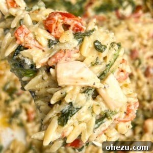 Chicken spinach tomato orzo on a spoon over a pan, depicting the final dish from the recipe card.