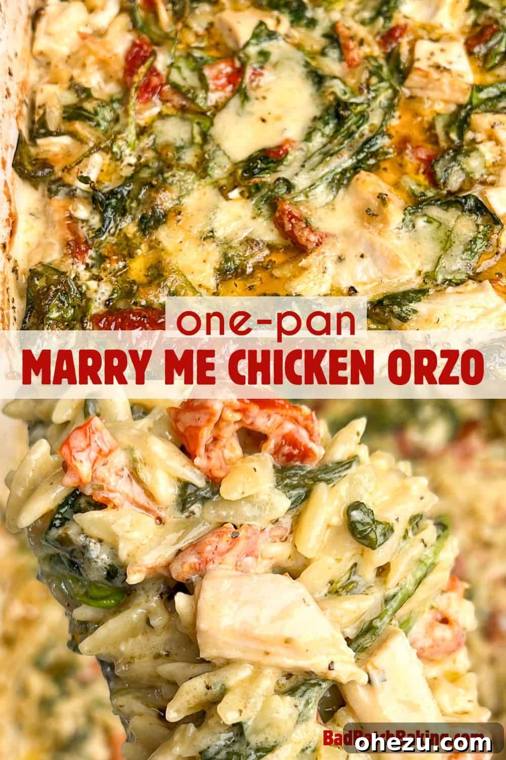 Skillet Chicken Orzo That Wins Hearts 13 Marry Me Chicken Orzo served in a pan and on a spoon, showcasing its creamy texture and rich ingredients.
