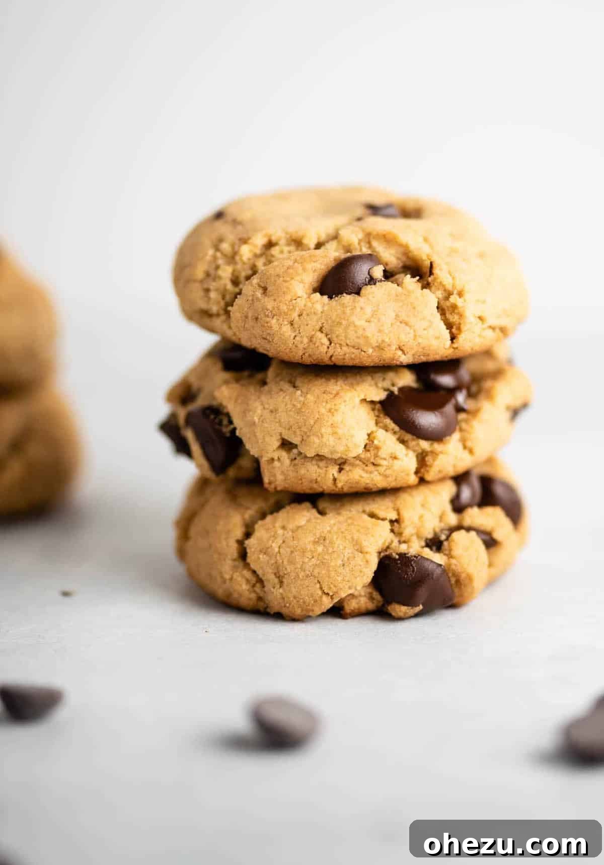 Heavenly Vegan Gluten-Free Chocolate Chip Delights 2 Delicious vegan gluten free chocolate chip cookies stacked on a plate