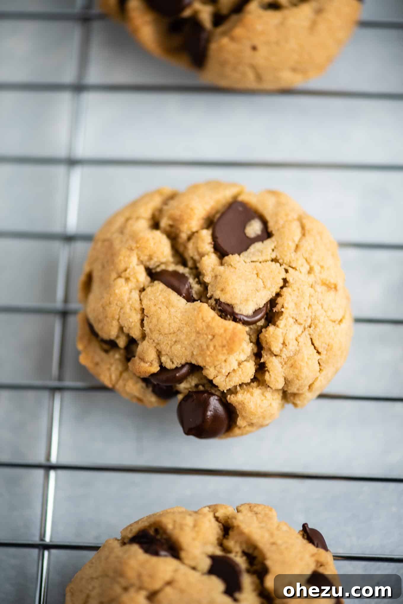 Heavenly Vegan Gluten-Free Chocolate Chip Delights 5 Freshly baked vegan gluten free chocolate chip cookies on a cooling rack