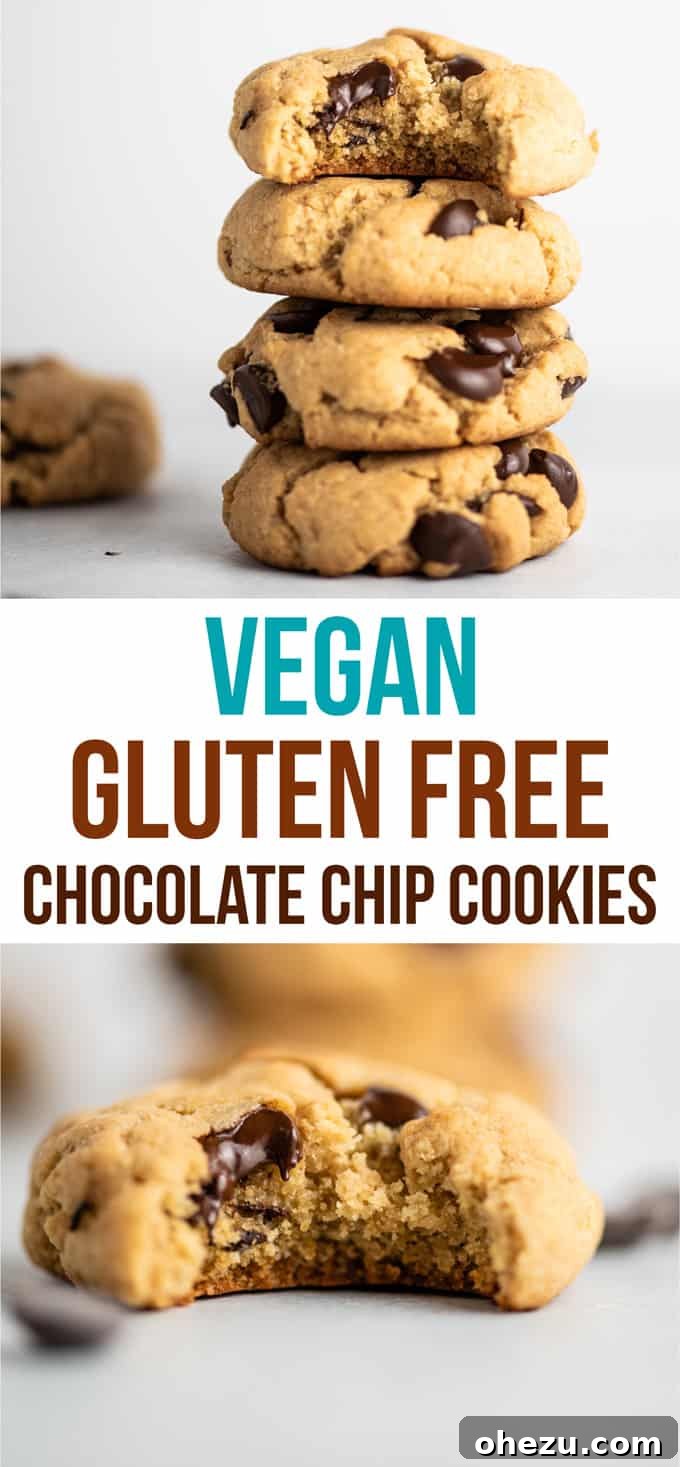 Heavenly Vegan Gluten-Free Chocolate Chip Delights 9 Vegan GF Chocolate Chip Cookies recipe card image