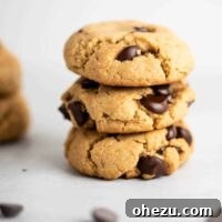 Heavenly Vegan Gluten-Free Chocolate Chip Delights 10 vegan gluten free chocolate chip cookies