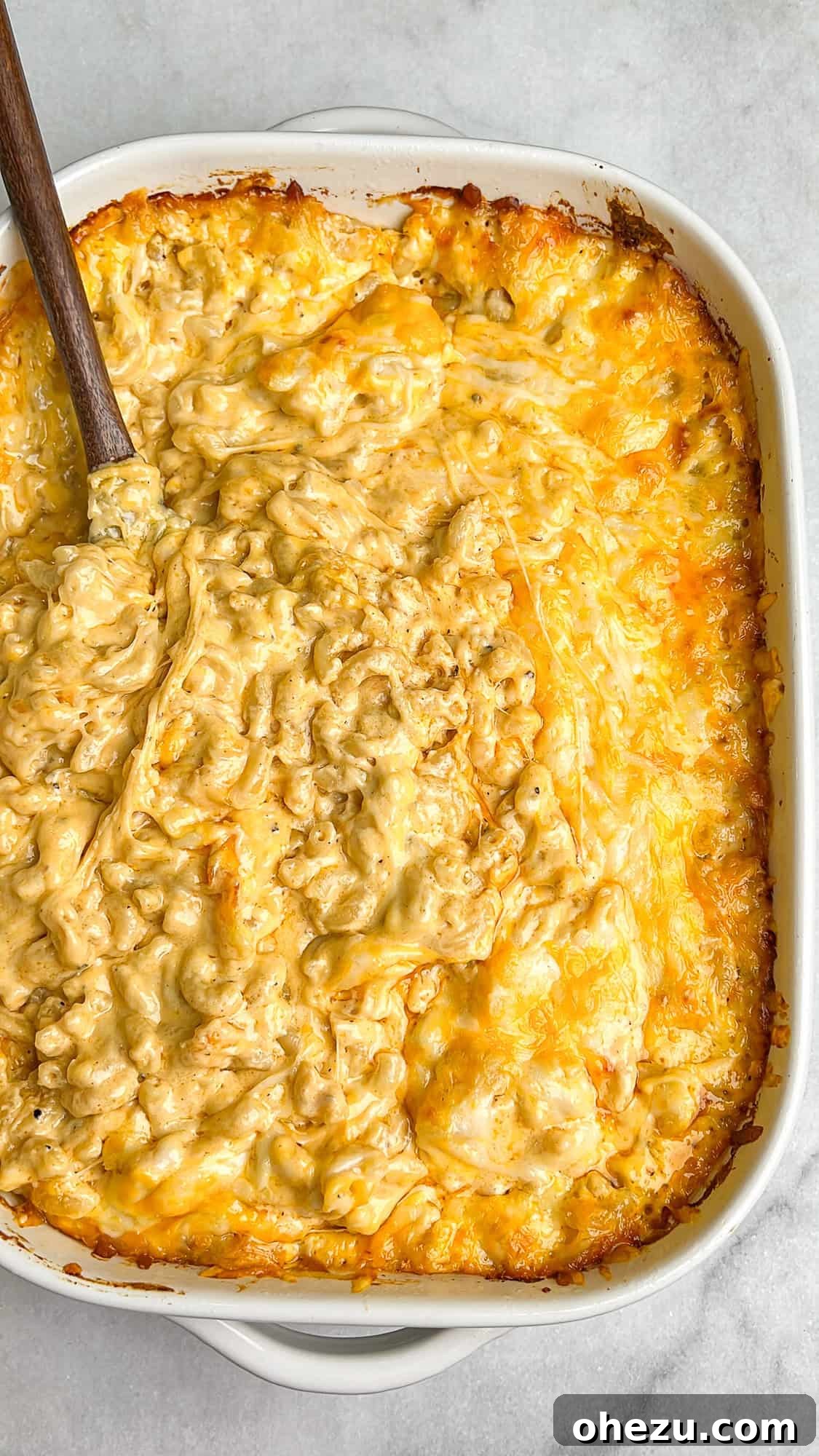 Close-up of golden-brown, bubbly macaroni and cheese in a baking pan, ready to be served.