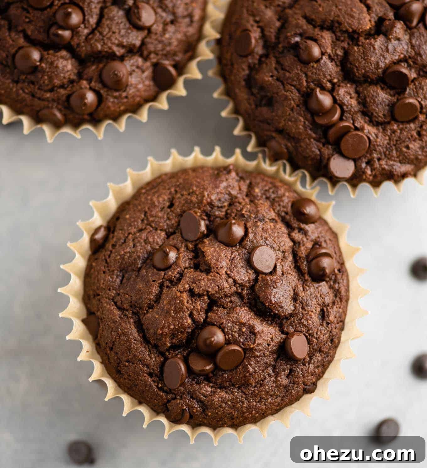 Unbelievably Delicious Gluten Free Chocolate Muffins 4 Overhead view of gluten-free chocolate muffins, with melted mini chocolate chips glistening on top