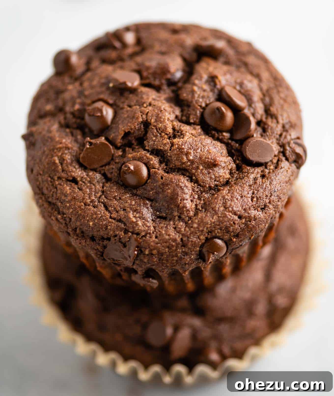 Unbelievably Delicious Gluten Free Chocolate Muffins 5 Two soft and moist gluten-free chocolate muffins stacked together, ready to be enjoyed