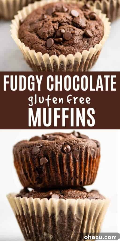 Unbelievably Delicious Gluten Free Chocolate Muffins 9 Image with text "Fudgy Chocolate Gluten Free Muffins" on a delicious muffin background