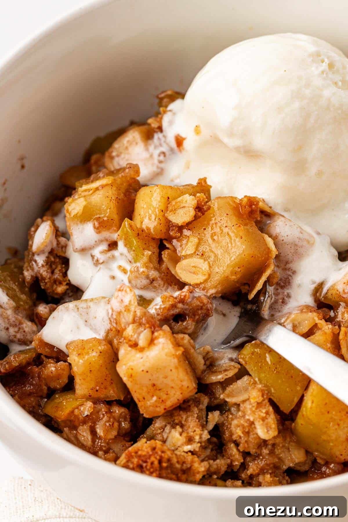 Heavenly Gluten-Free Apple Crumble 15 A delicious serving of gluten-free apple crisp in a bowl, with a scoop of vanilla ice cream visibly melted into the warm dessert.