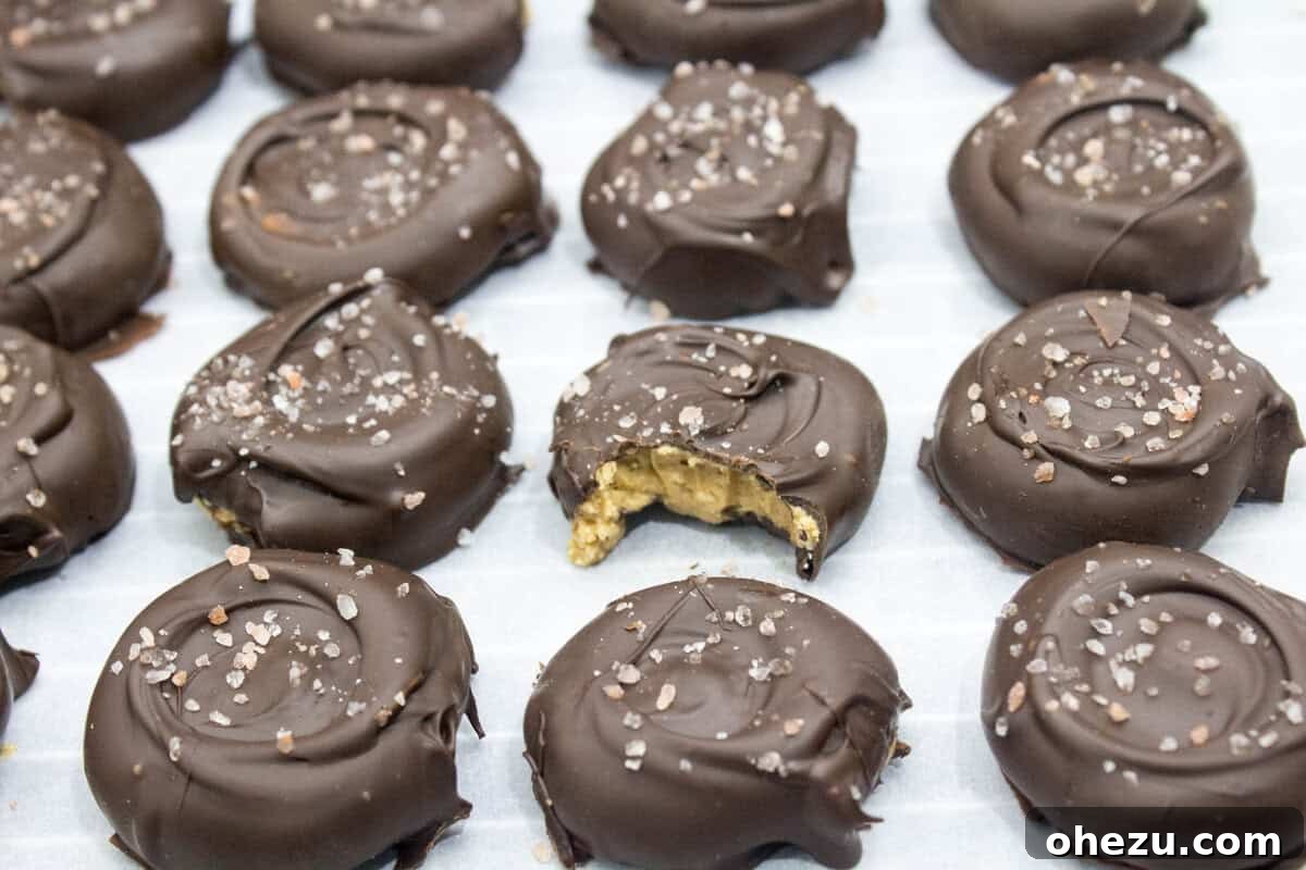 Decadent Sea Salt Dark Chocolate Peanut Butter Drops 2 Delicious Salted Dark Chocolate Peanut Butter Patties arranged beautifully
