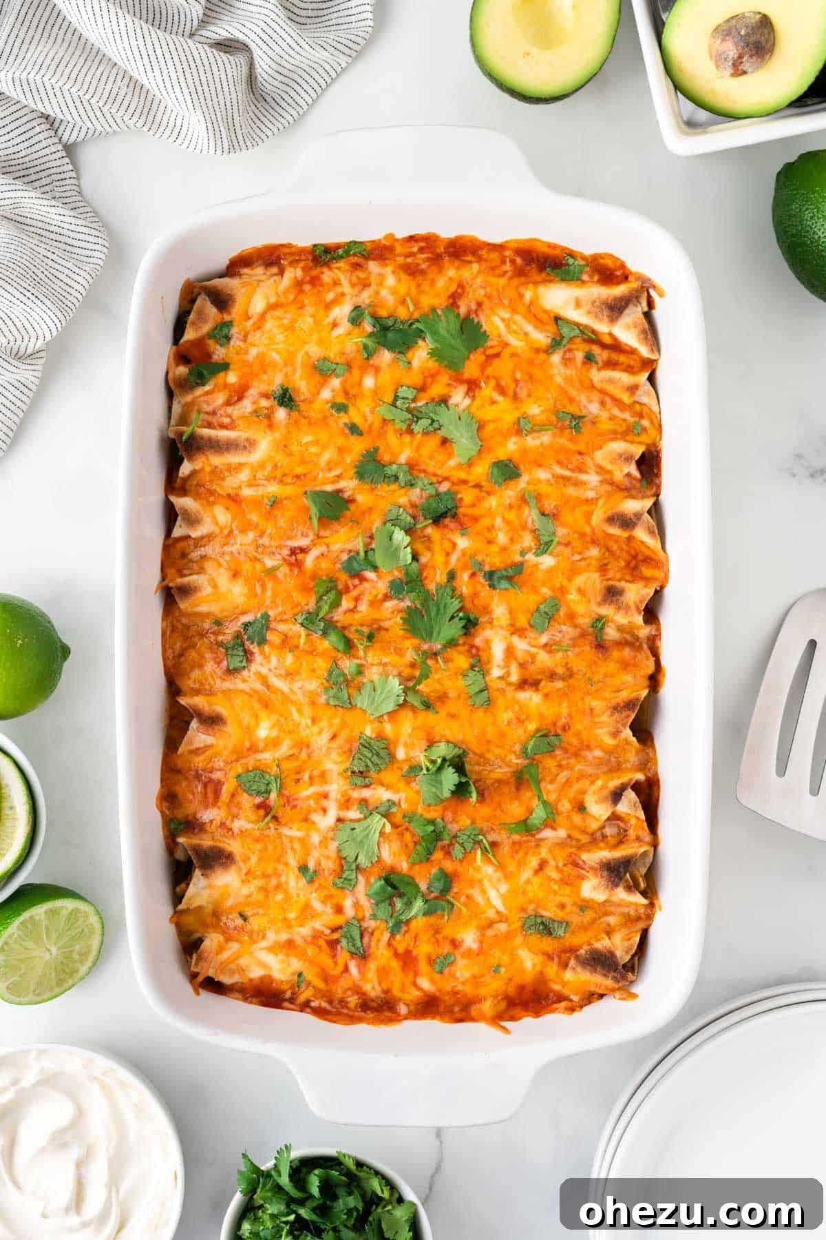 Beautifully baked vegetarian enchiladas, golden and bubbly with melted cheese, fresh from the oven and ready to be served.