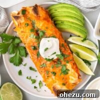 Delicious and creamy vegetarian enchiladas on a plate with toppings, signifying a perfectly made dish.