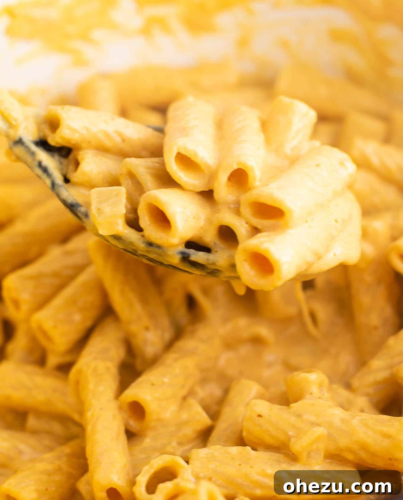a spoonful of pumpkin pasta