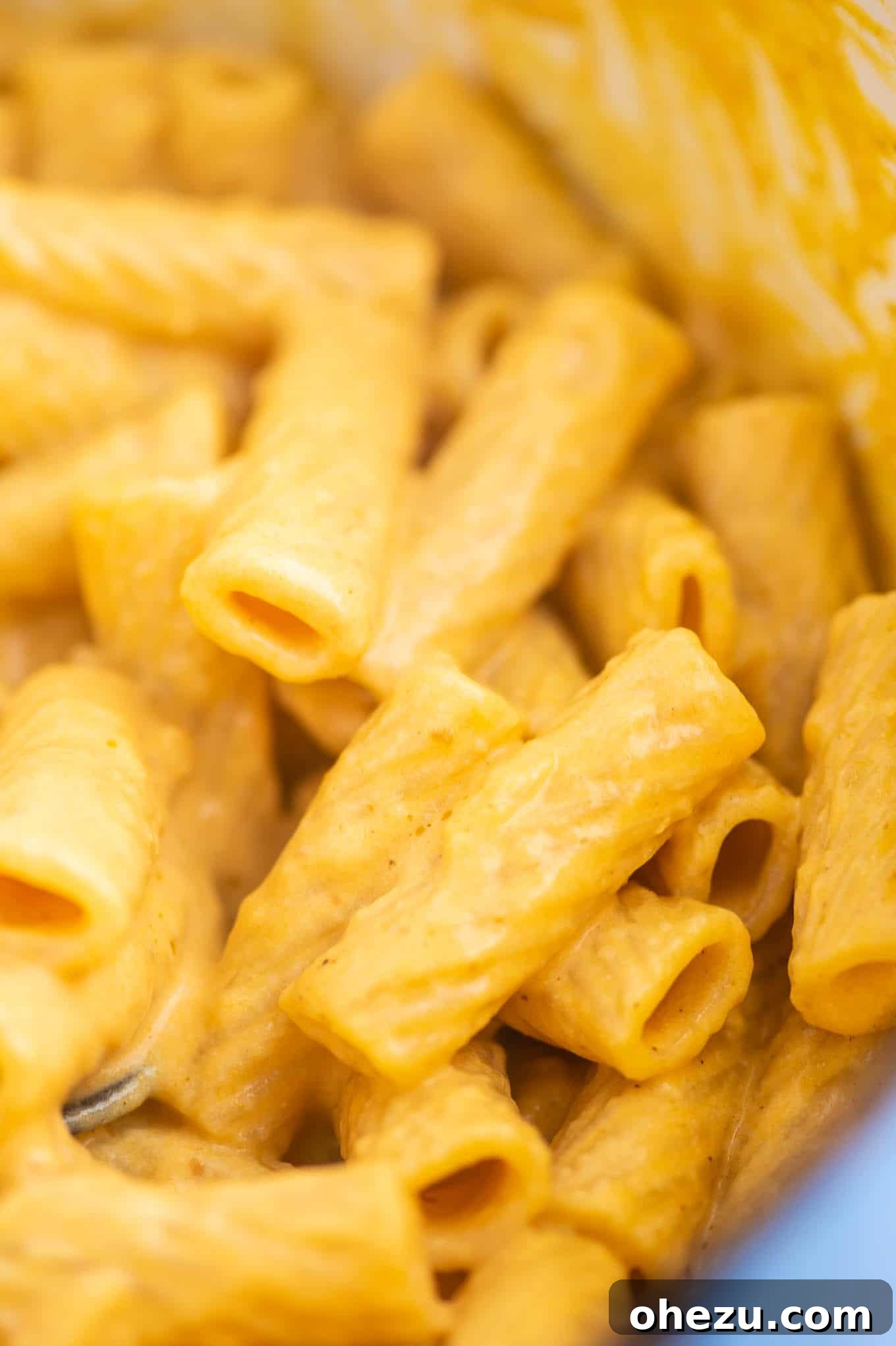 rigatoni coated in pumpkin pasta sauce
