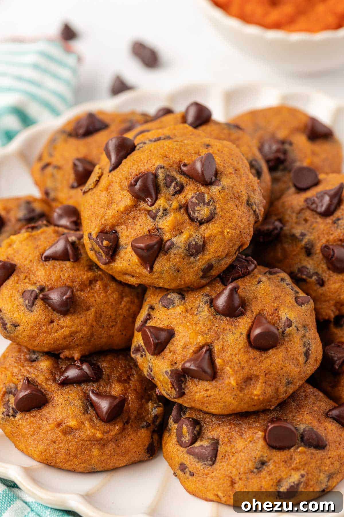 Harvest Pumpkin Chocolate Chip Cookies 16 Another perspective of pumpkin chocolate chip cookies