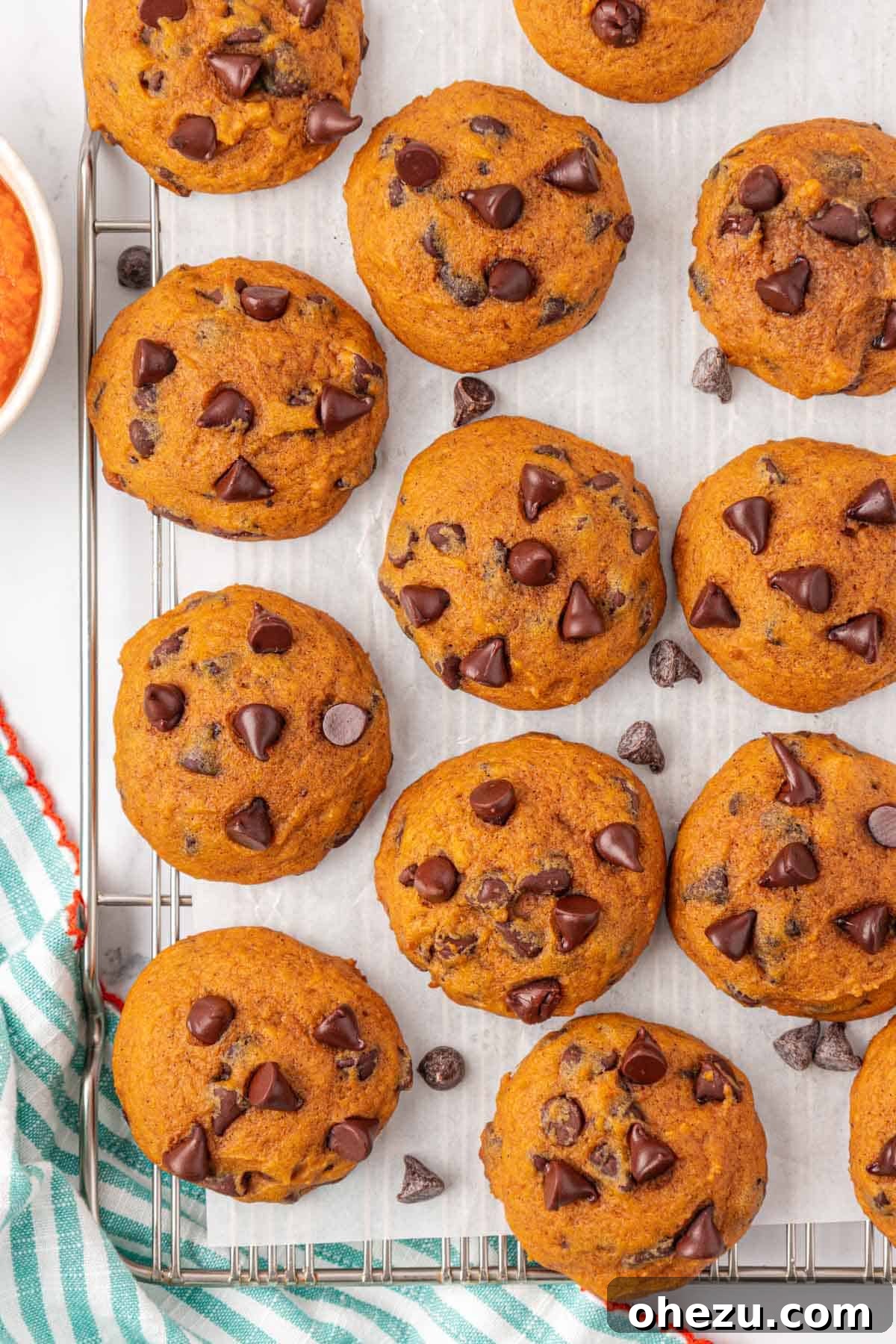 Harvest Pumpkin Chocolate Chip Cookies 17 Pumpkin chocolate chip cookies served on a white plate