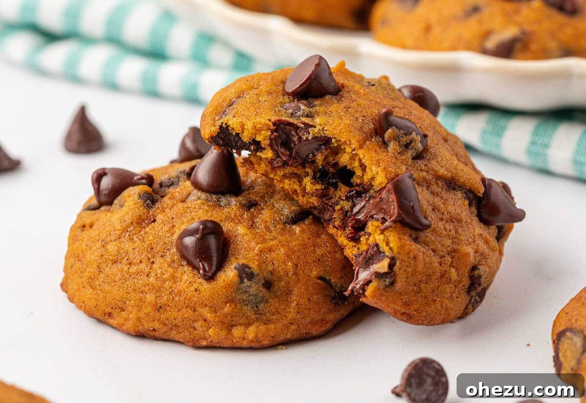 Harvest Pumpkin Chocolate Chip Cookies 19 A pumpkin chocolate chip cookie with a bite taken out, showing its soft interior