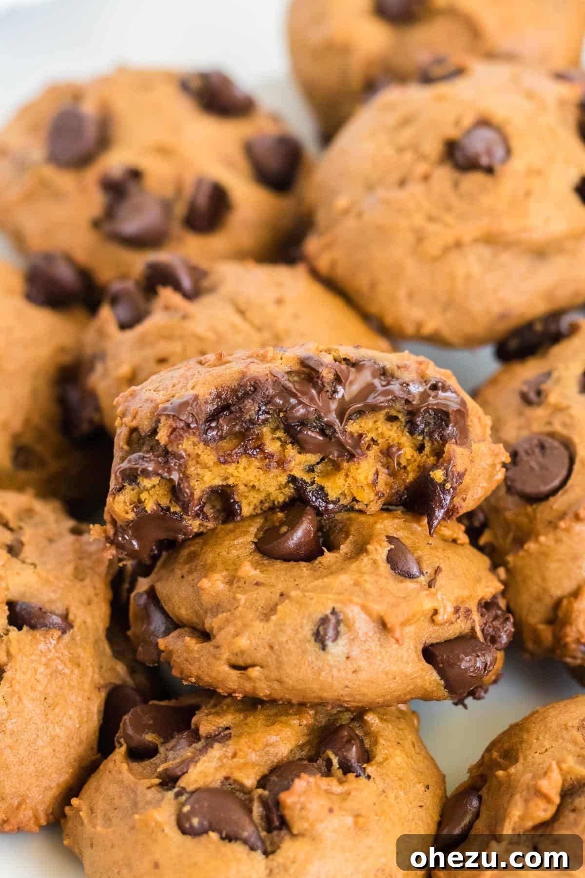 Harvest Pumpkin Chocolate Chip Cookies 3 Close-up of baked pumpkin chocolate chip cookies, highlighting their soft texture and chocolate chips