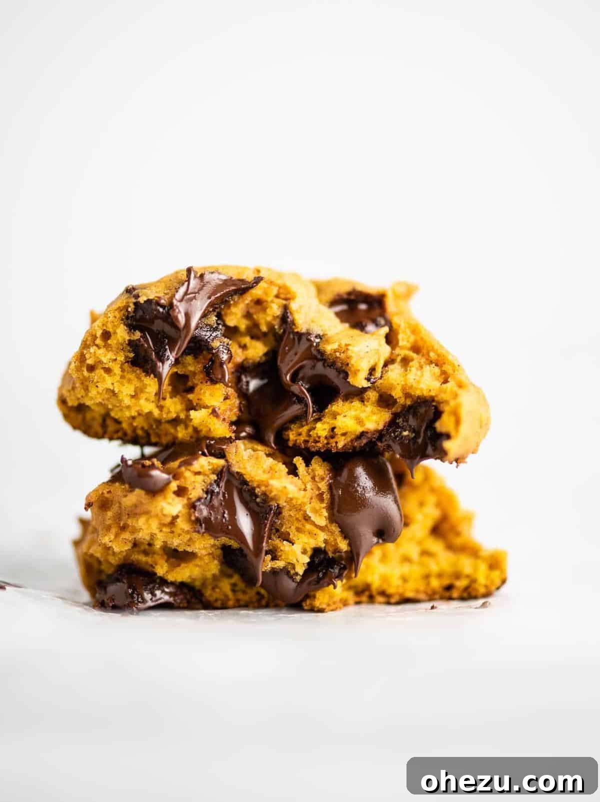 My Five-Year Food Blogging Journey 5 pumpkin chocolate chip cookies