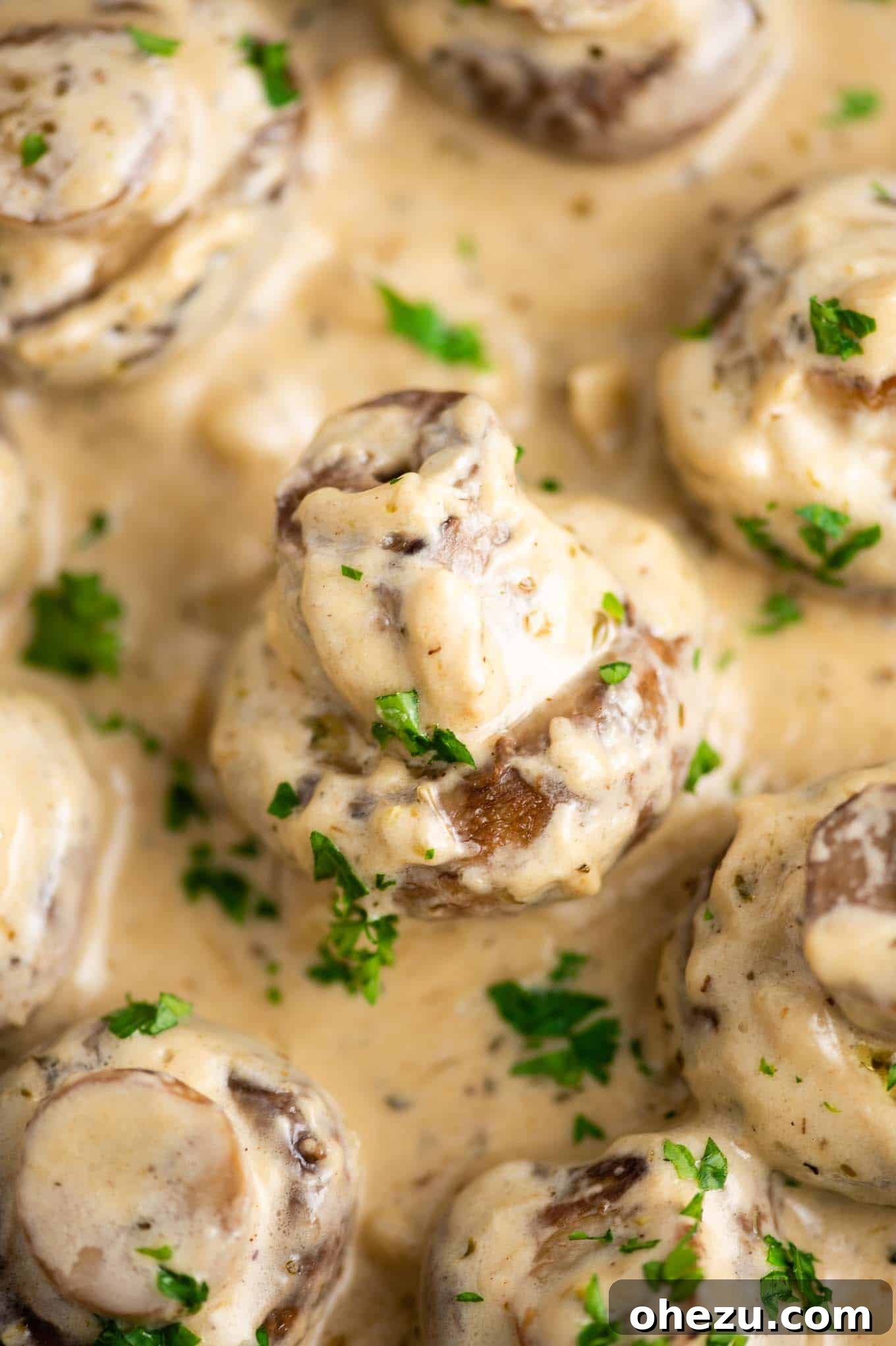 Close-up shot of creamy garlic mushrooms, showcasing their rich sauce and inviting texture.