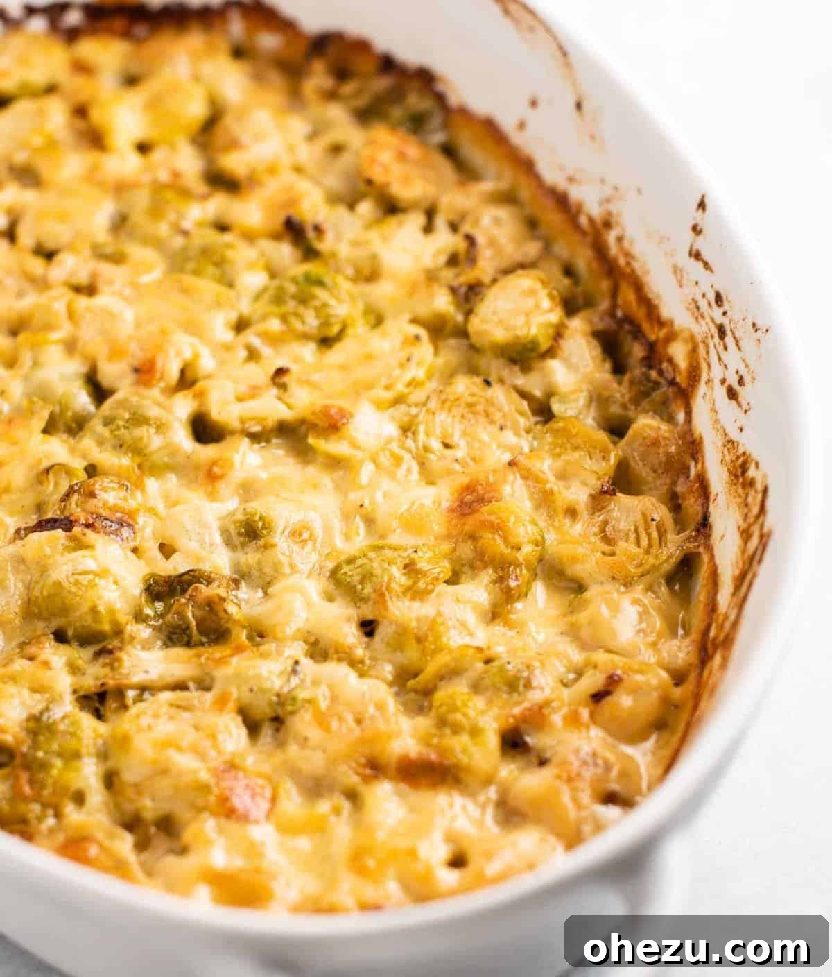 Ultimate Cheesy Brussels Sprouts 2 An oval white baking dish filled with golden, bubbly cheesy Brussels sprout gratin, fresh out of the oven.