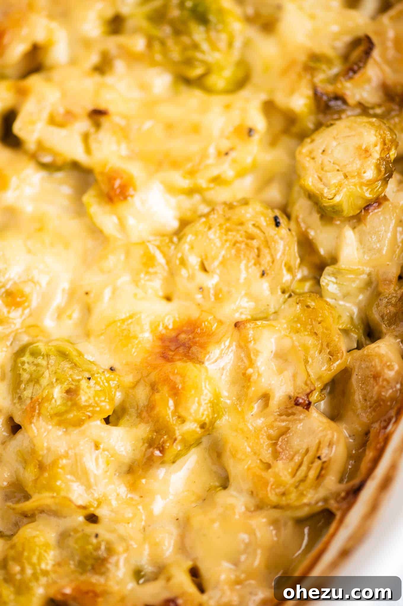 Ultimate Cheesy Brussels Sprouts 11 A vibrant close-up of cheesy, bubbling Brussels sprouts gratin, golden brown and glistening, in a white baking dish.