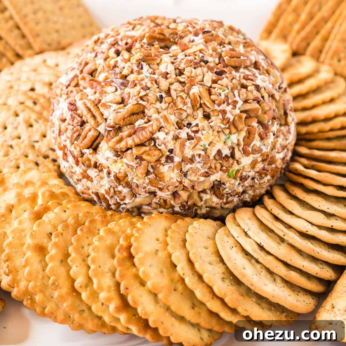 The Ultimate Cheese Ball 2 cheese ball surrounded by crackers