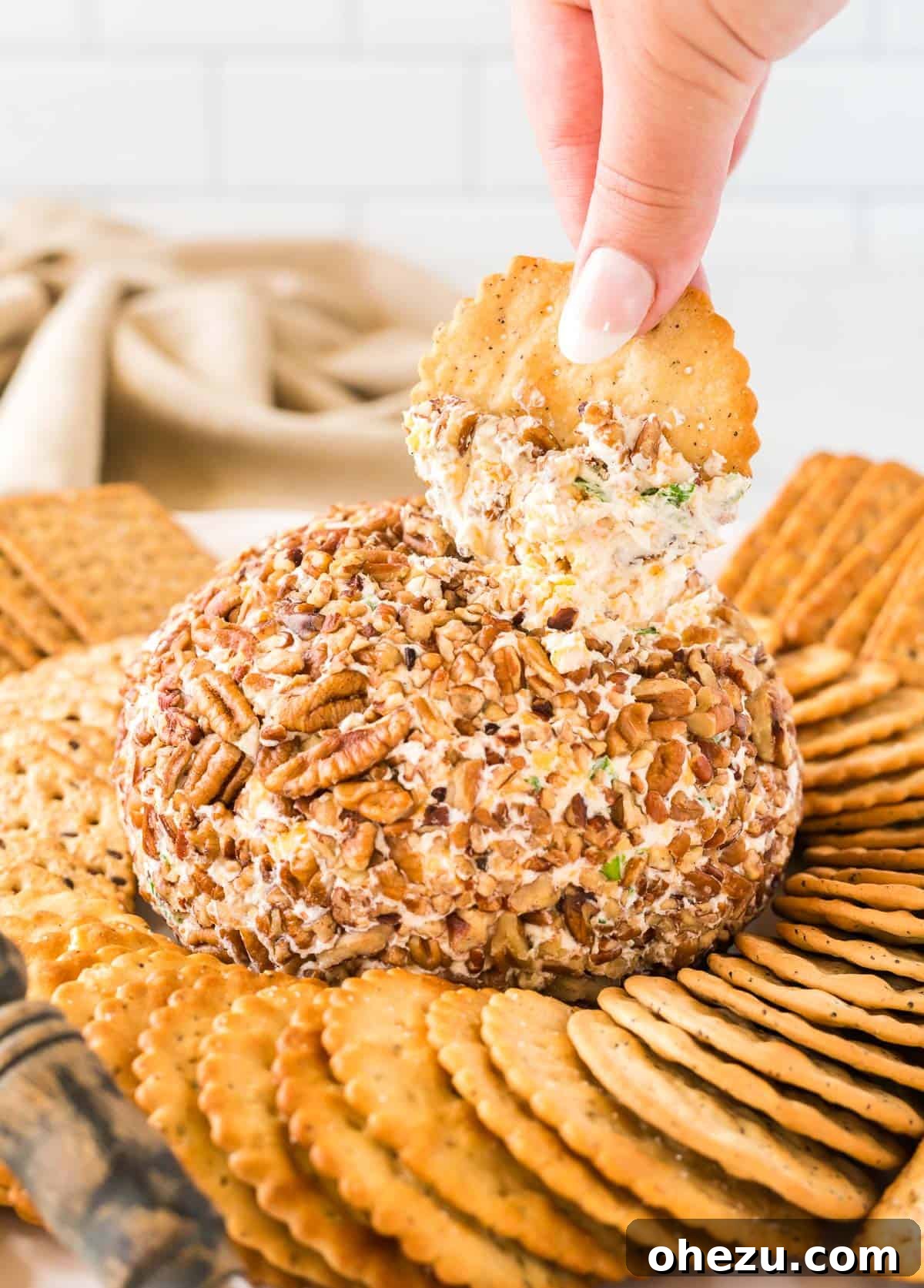 The Ultimate Cheese Ball 16 holding a cracker dipped in cheese ball