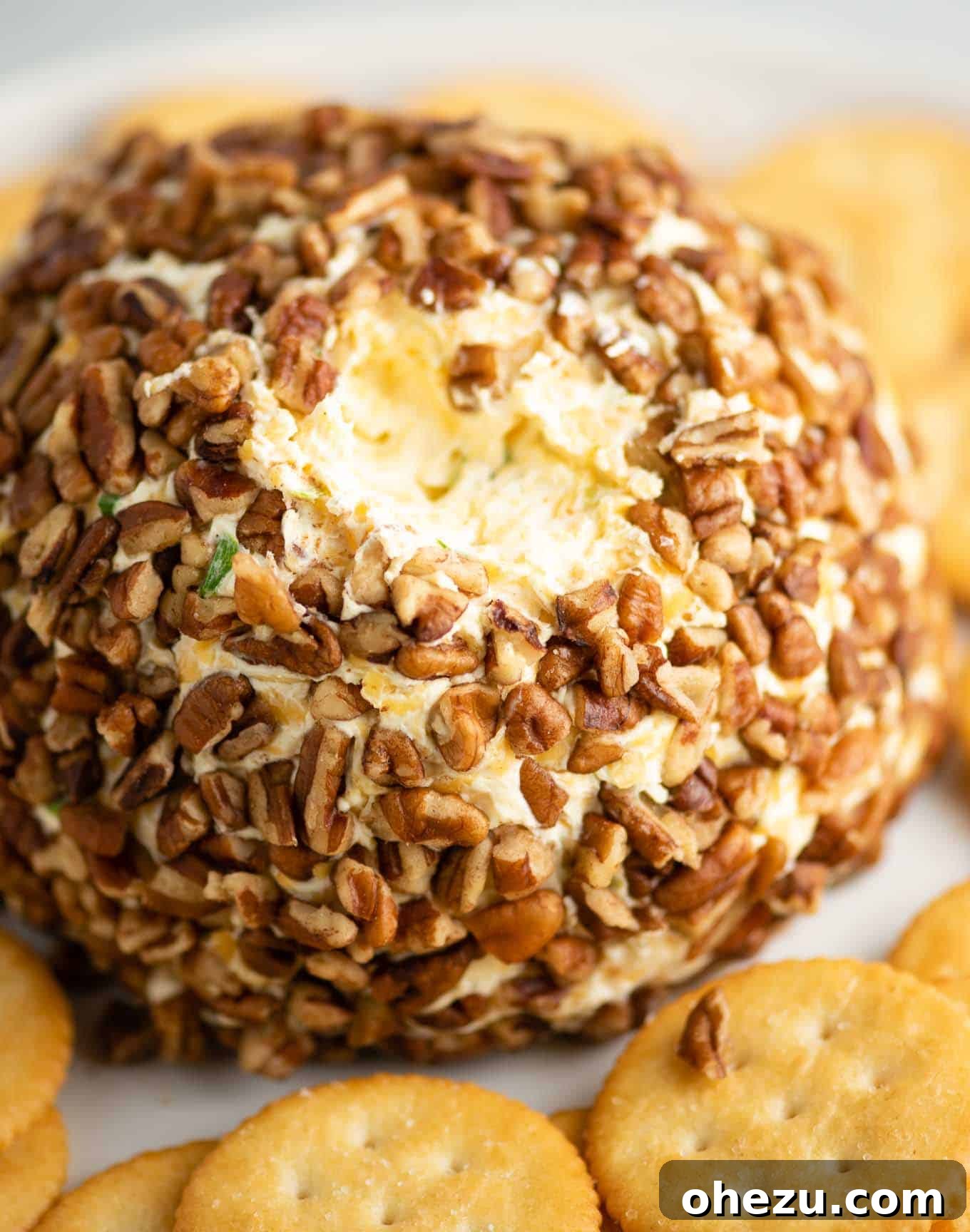 The Ultimate Cheese Ball 15 sour cream and cream cheese ball with a bite taken out of the top