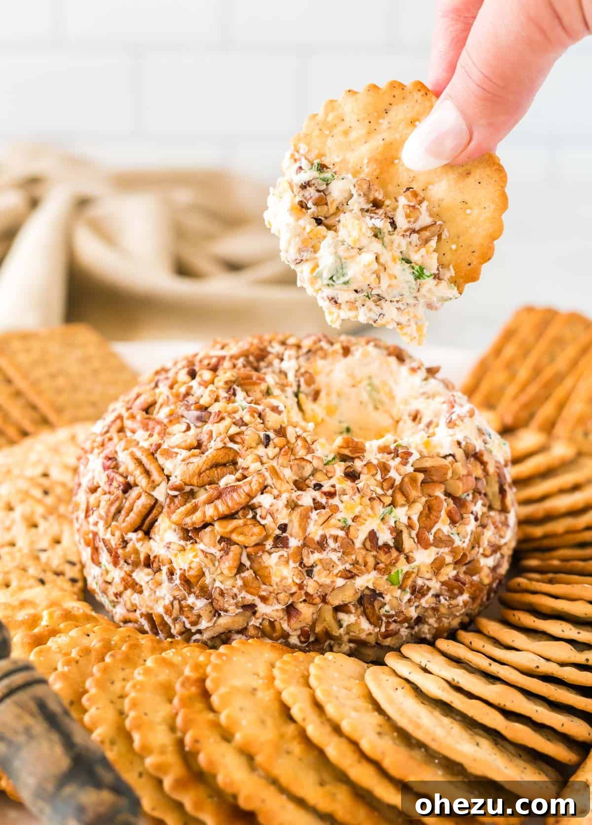 The Ultimate Cheese Ball 3 holding a cracker dipped in cheese ball