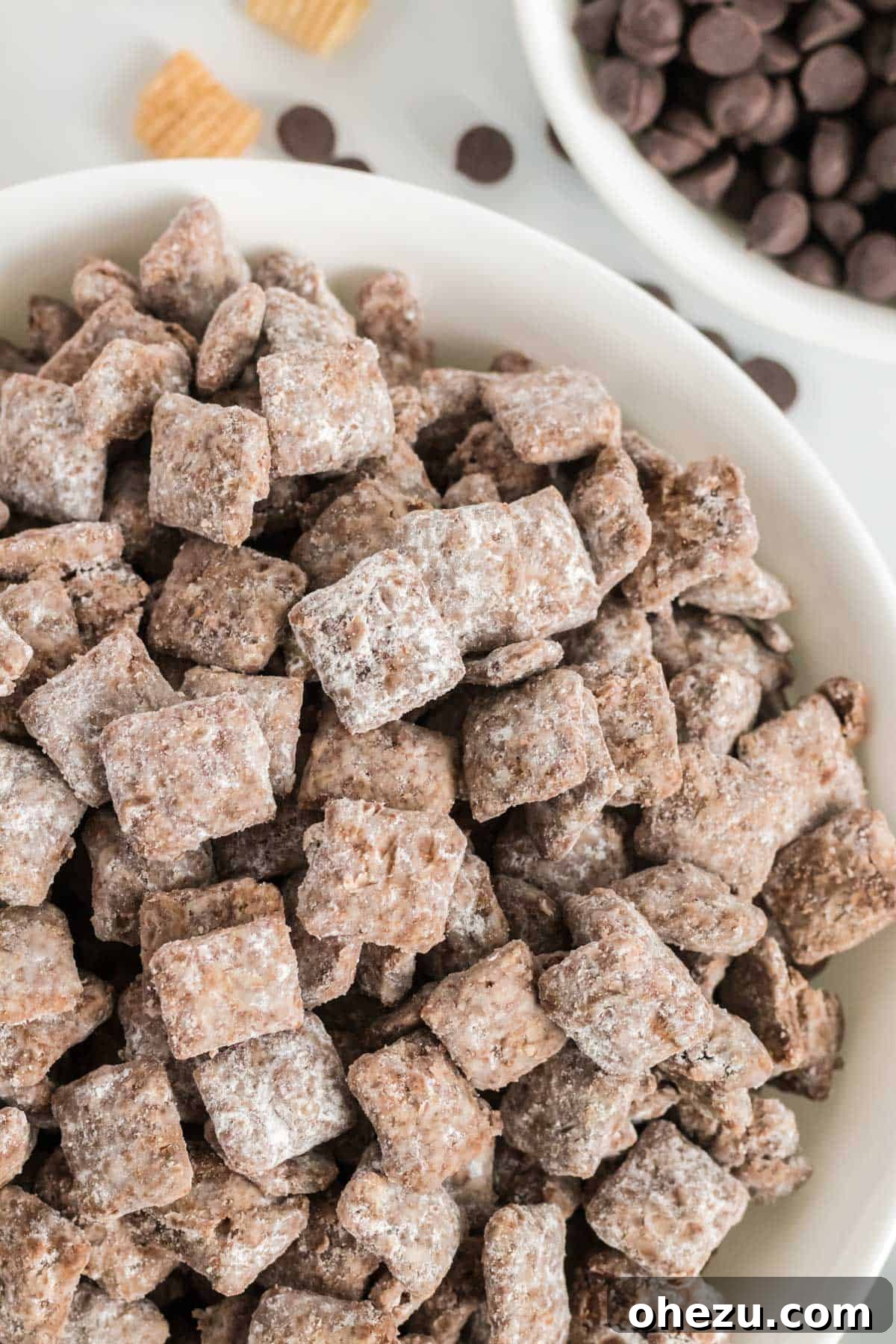 Vegan Chocolate Peanut Butter Cereal Crunch 2 Delicious vegan puppy chow (muddy buddies) in a white bowl, ready to be enjoyed