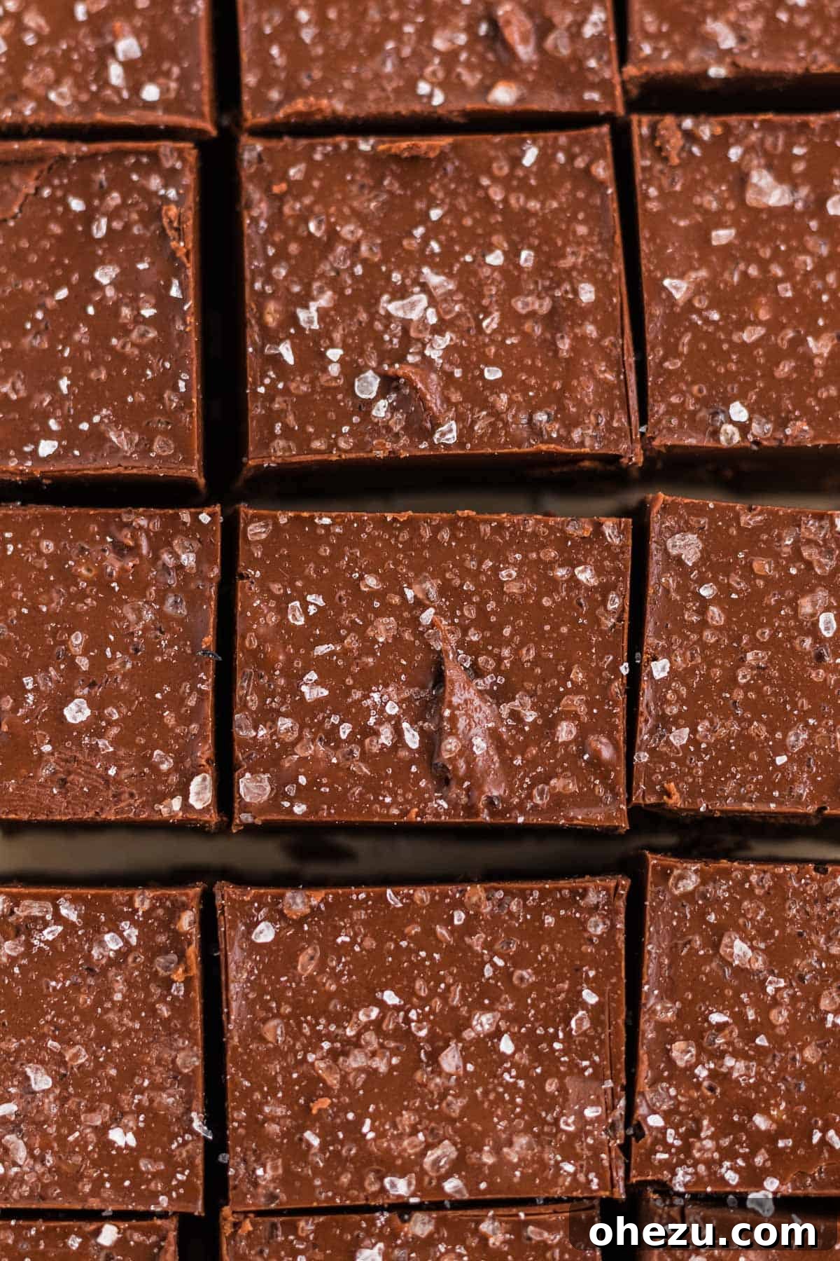 Decadent Vegan Peanut Butter Chocolate Fudge 9 A close-up of impeccably cut squares of vegan chocolate peanut butter fudge, artfully sprinkled with coarse sea salt, showcasing its inviting texture and rich color.