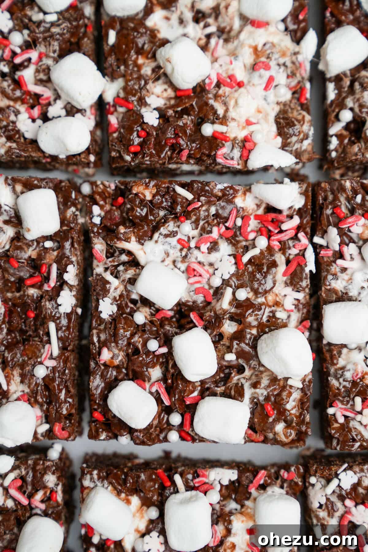 Cozy Cocoa Crisps 2 Decadent chocolate rice krispie treats, generously topped with mini marshmallows, sprinkles, and chocolate chips, sliced into perfect squares.