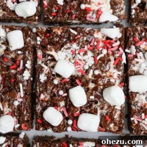 Cozy Cocoa Crisps 16 chocolate rice krispie treats