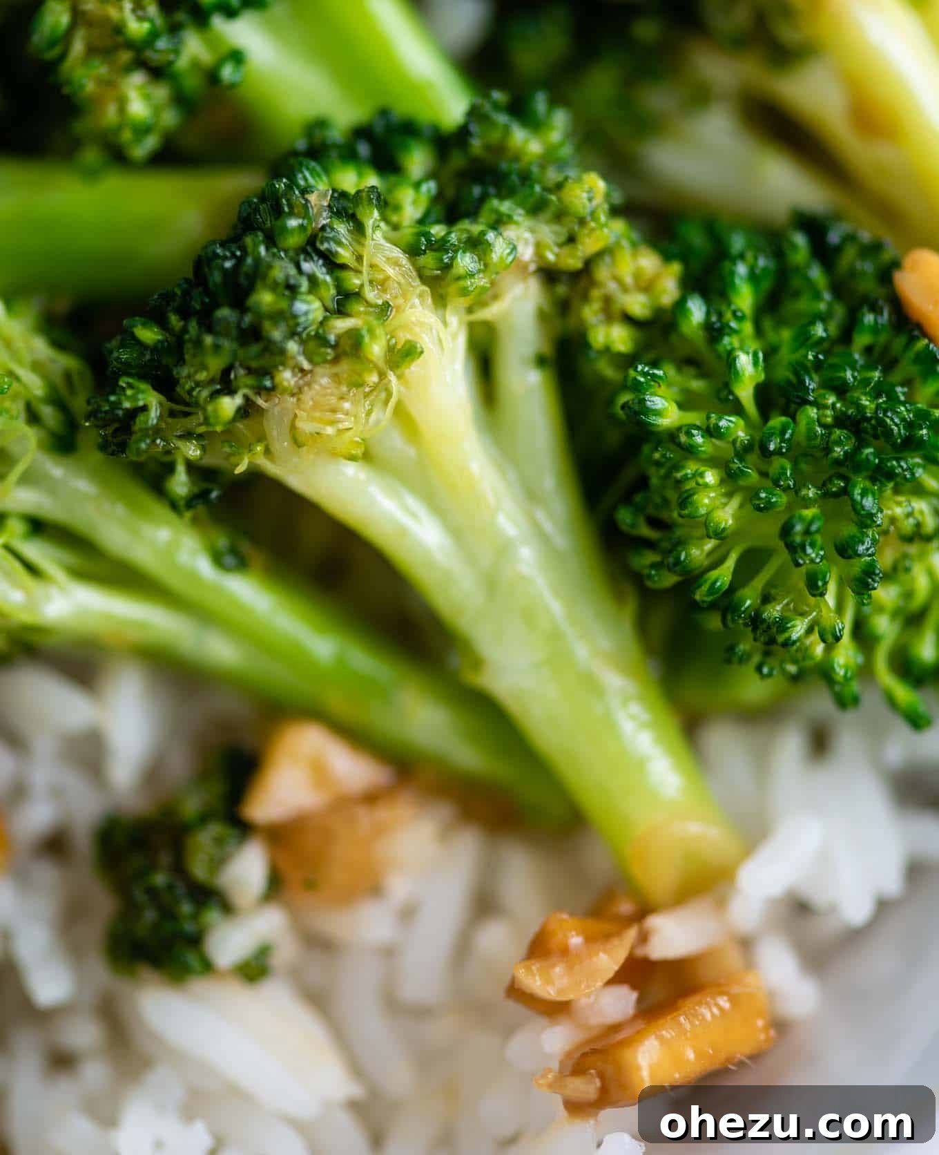 Crisp and Flavorful Broccoli Stir Fry 13 broccoli floret and minced ginger up close