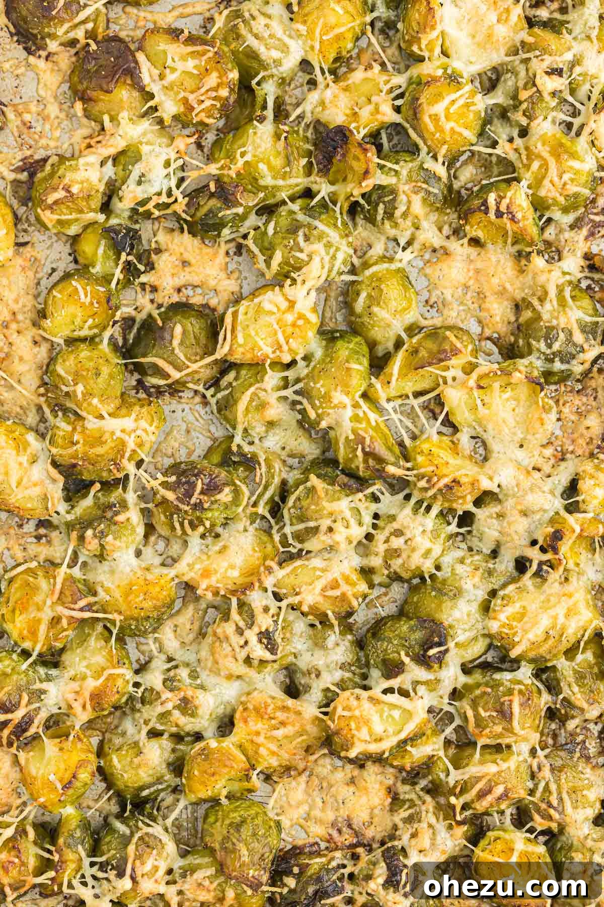 A serving of roasted frozen Brussels sprouts with melted Parmesan cheese in a white bowl, perfect for a healthy side dish.